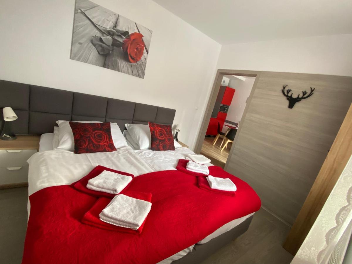 Apartamenty Pod Rudka Czarna Gora Agroturystyka Шенна Екстериор снимка